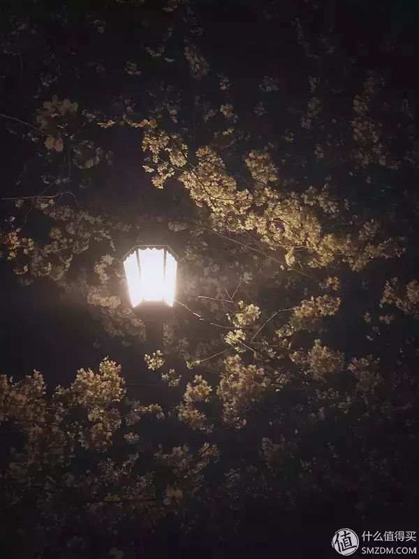 ˵ٹ_ȥξ˳_˵